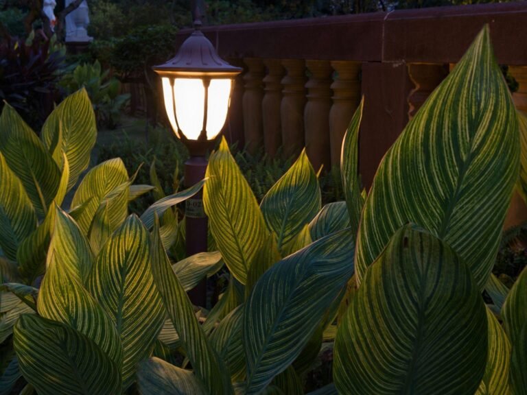 Evening Garden Lighting Feature