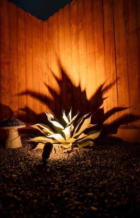 LED landscape uplighting highlighting plants and fence features in a Houston residential yard