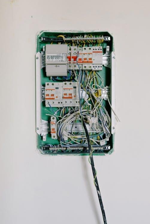 Electrical panel with damaged wiring